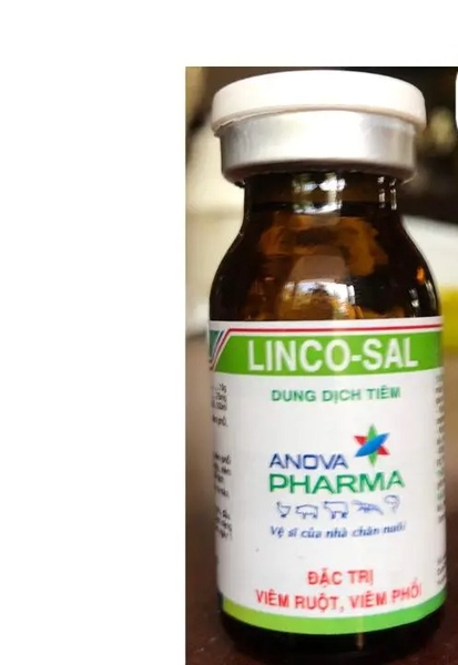 lincosal-ap-10-ml-thuoc-cho-ga-da-khet-kho-khe