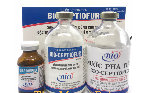 bio-ceptiofur-bo-pha-tiem-e-coli-viem-phoi-nhiem-trung-huyet-chuyen-dung-cho-vit