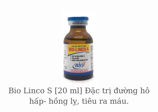 bio-linco-s-20-ml-dut-diem-duong-ho-hap-hong-ly-tieu-ra-mau