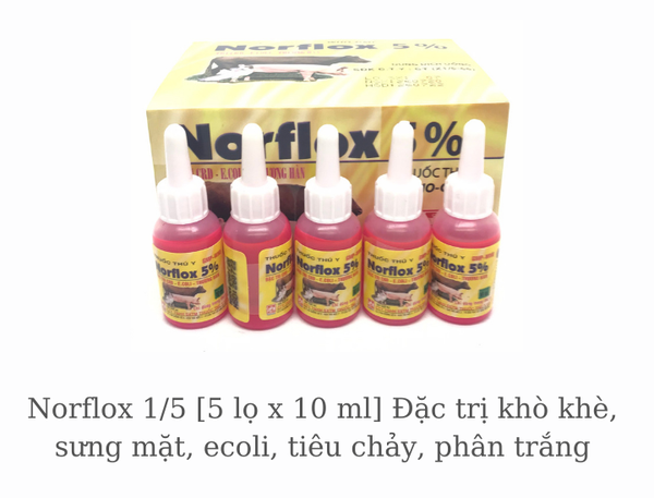norflox-1-5-5-lo-x-10-ml-dac-hieu-kho-khe-sung-mat-ecoli-tieu-chay-phan-trang