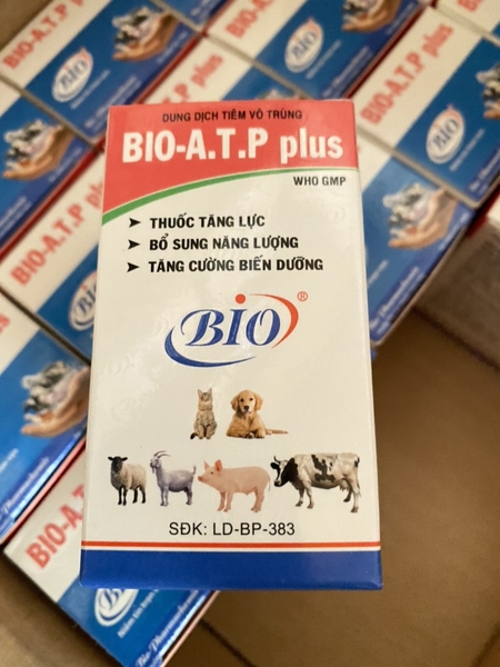 bio-atp-plus-50ml-tang-luc-bo-duong-cho-thu-cung-vat-nuoi