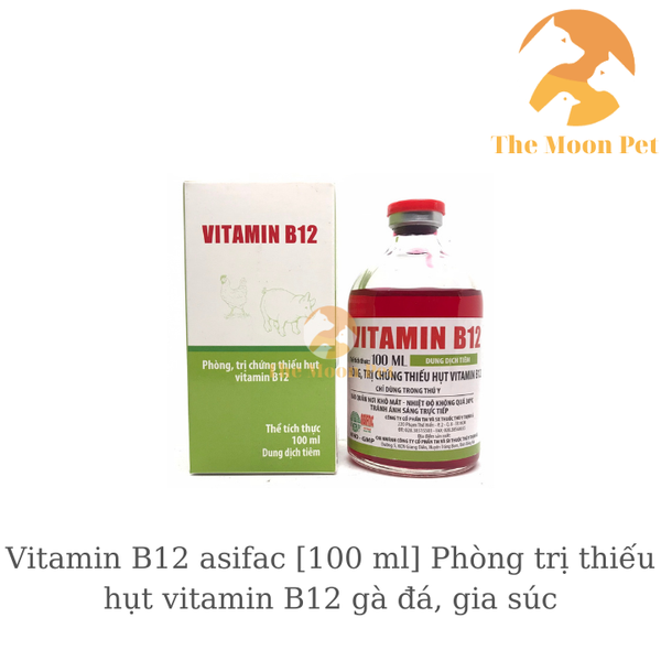 vitamin-b12-asifac-100-ml-phong-tri-thieu-hut-vitamin-b12-ga-da-gia-suc