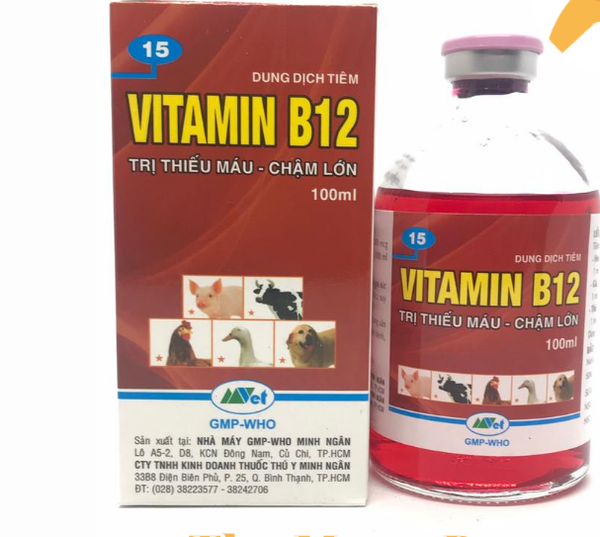 vitamin-b12-100-ml-cho-vat-nuoi-thieu-mau-cham-lon