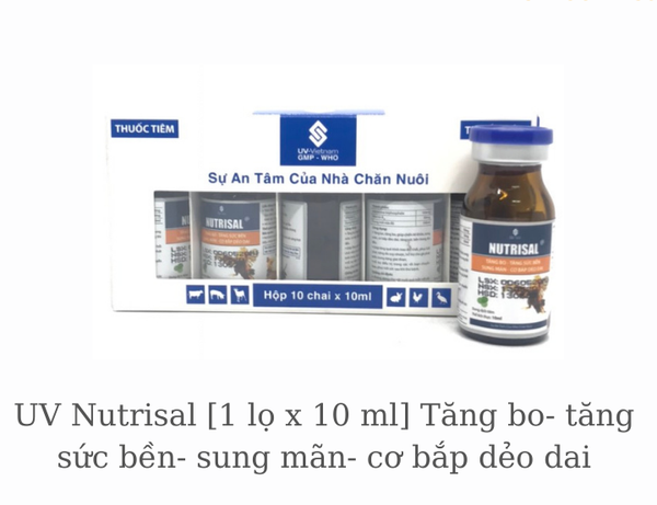 uv-nutrisal-1-lo-x-10ml-ga-da-tang-bo-tang-suc-ben-sung-man-co-bap-deo-dai