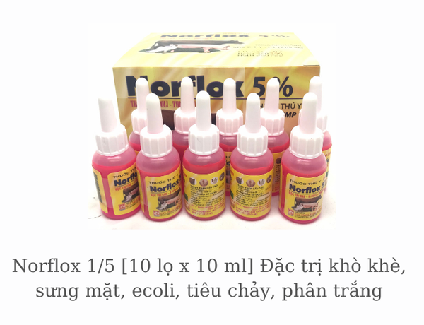 norflox-1-5-10-lo-x-10-ml-dac-hieu-kho-khe-sung-mat-ecoli-tieu-chay-phan-trang