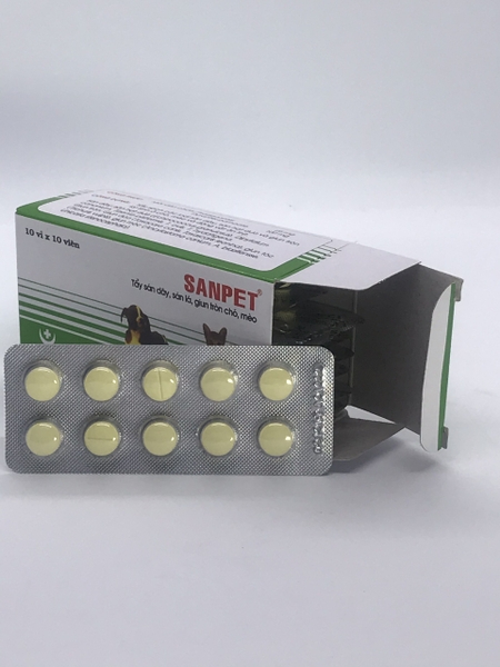 sanpet-1-vi-10-vien-tay-giun-san-day-san-la-giun-tron-cho-meo