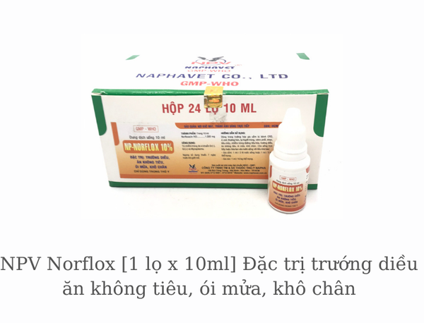 npv-norflox-1-lo-x-10-ml-ga-truong-dieu-an-khong-tieu-oi-mua-kho-chan