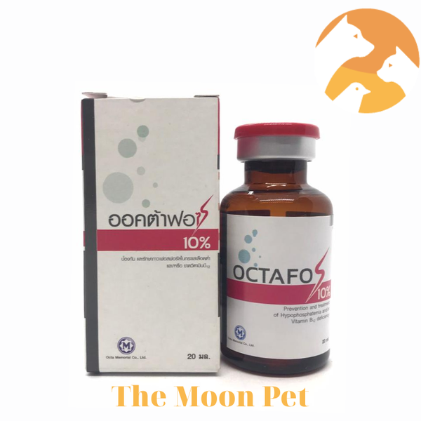 octafos-thai-20-ml-cho-ga-da-vat-nuoi-thieu-hut-vitaim-b12-tang-cuong-duong-chat