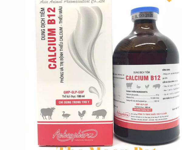calcium-b12-100-ml-ga-da-phong-cac-chung-thieu-calcium-thieu-mau