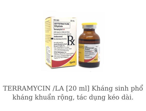 terramycin-la-20-ml-khang-sinh-pho-khang-khuan-rong-tac-dung-keo-dai