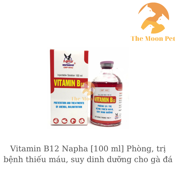 vitamin-b12-napha-100-ml-cho-ga-da