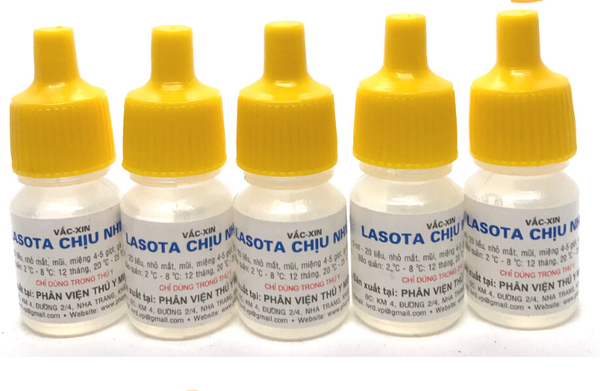 lasota-chiu-nhiet-4-lo-x-25-lieu-nho-mat-mui-mieng-ga-con-1-tuan-tuoi-ngua-dich-