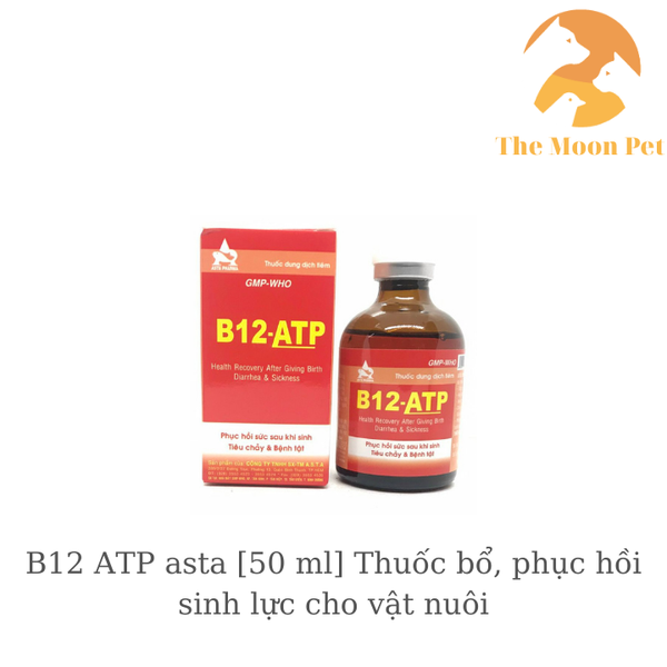 b12-atp-asta-50-ml-thuoc-bo-phuc-hoi-sinh-luc-cho-vat-nuoi
