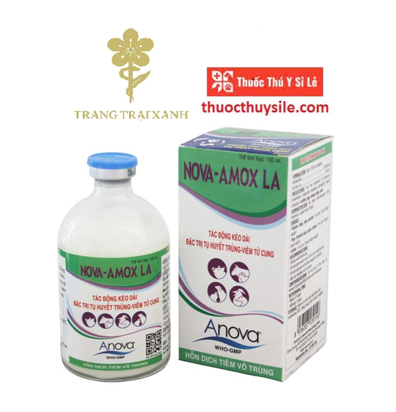 anova-nova-amox-la-100ml-viem-vu-viem-tu-cung