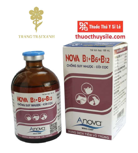 anova-588-nova-b1-b6-b12-100ml-dieu-tri-coi-coc-suy-nhuoc