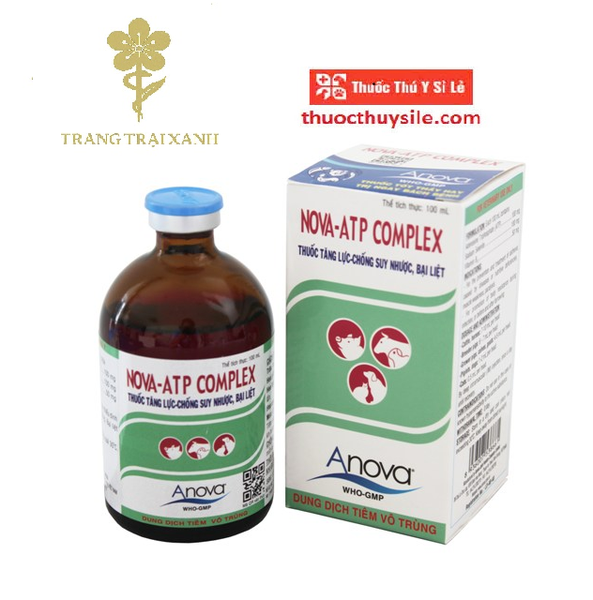 anova-nova-atp-complex-100ml-bo-sung-dinh-duong-chong-suy-nhuoc-tang-luc