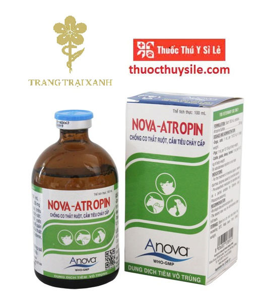 anova-atropin-100ml-co-that-ruot-tieu-chay-cap