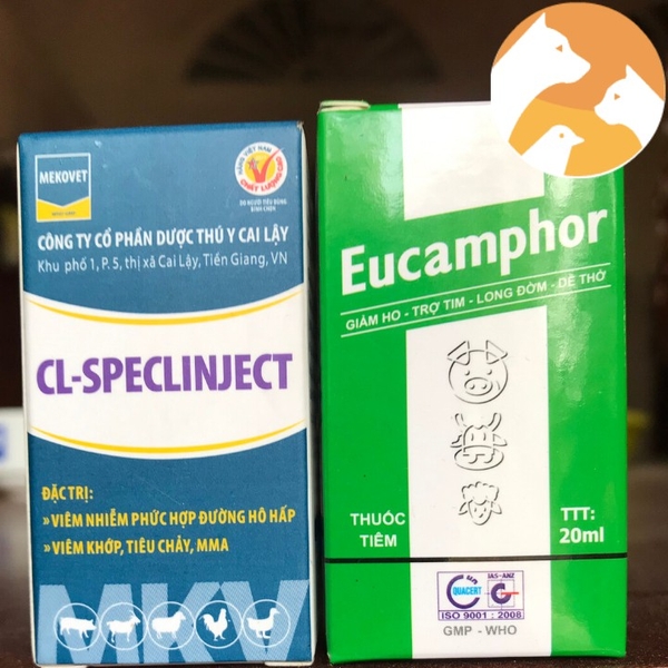combo-cl-speclinject-va-eucamphor-20-ml-het-khet-kho-khe-ga-da