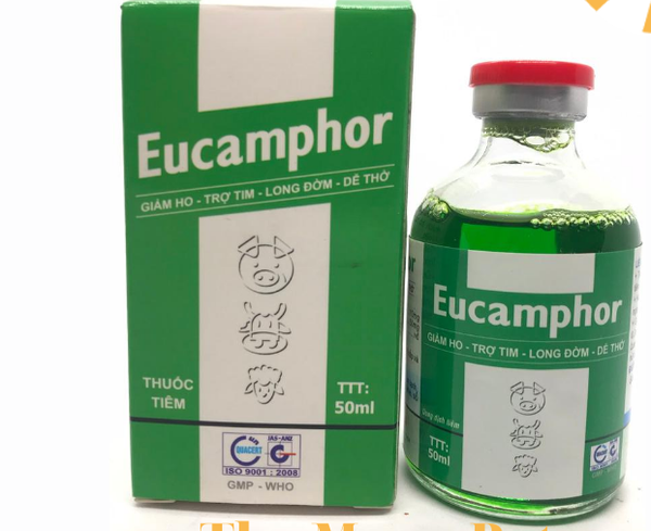 eucamphor-50-ml-giam-ho-tro-tim-long-dom-de-tho