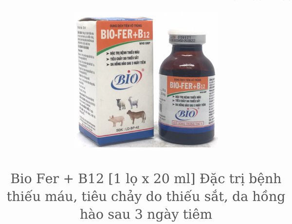 bio-fer-b12-1-lo-x-20-ml-dac-tri-benh-thieu-mau-tieu-chay-do-thieu-sat-da-hong-h