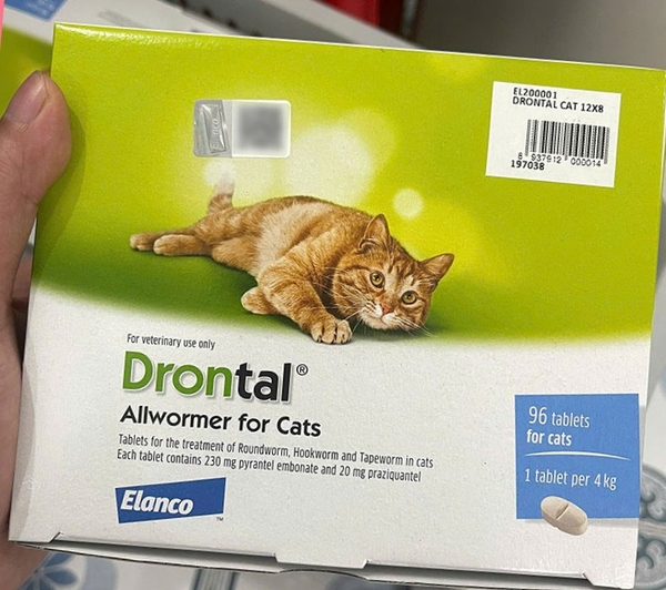 elanco-thuoc-drontal-allwormer-for-cats-hop-96-vien-1vien