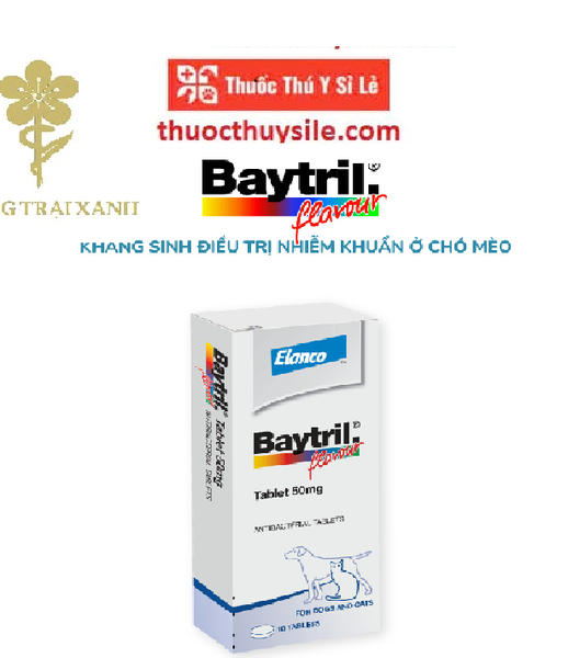 elanco-thuoc-baytril-flavour-tablet-50mg-hop-10-vien-tri-ho-hap-viem-da-cho-meo