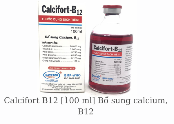calcifort-b12-100-ml-bo-sung-calcium-b12-cho-cho-meo-heo