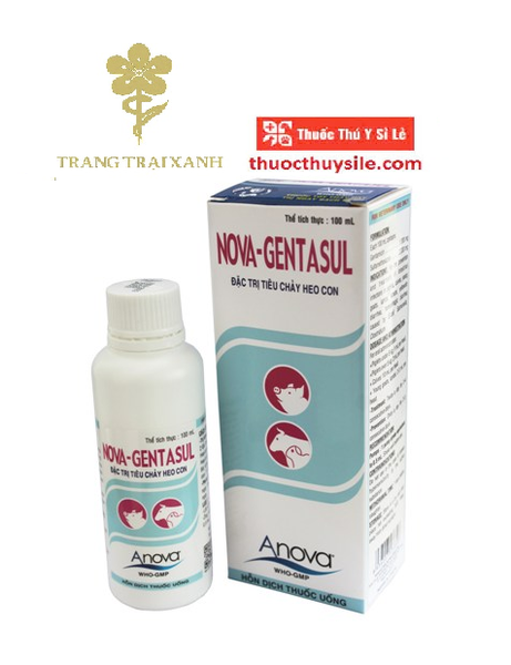 anova-nova-gentasul-100ml-dac-tri-benh-nhiem-trung-duong-ruot-va-tieu-chay