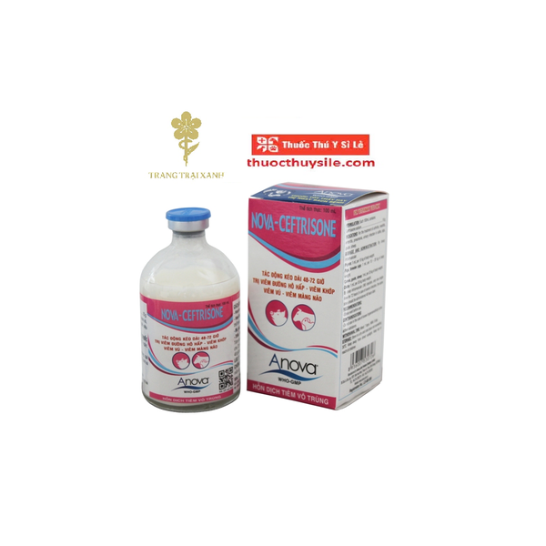 anova-nova-ceftrisone-100ml-tri-viem-duong-ho-hap-viem-khop-viem-vu