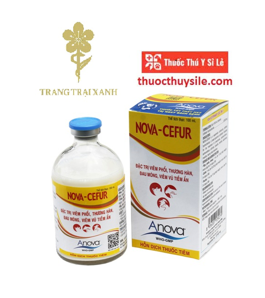anova-nova-cefur-100ml-dieu-tri-ho-hap-viem-khop-viem-tu-cung