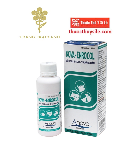 anova-nova-enrocol-100ml-or-dieu-tri-cac-benh-nhiem-trung-ho-hap-tieu-hoa