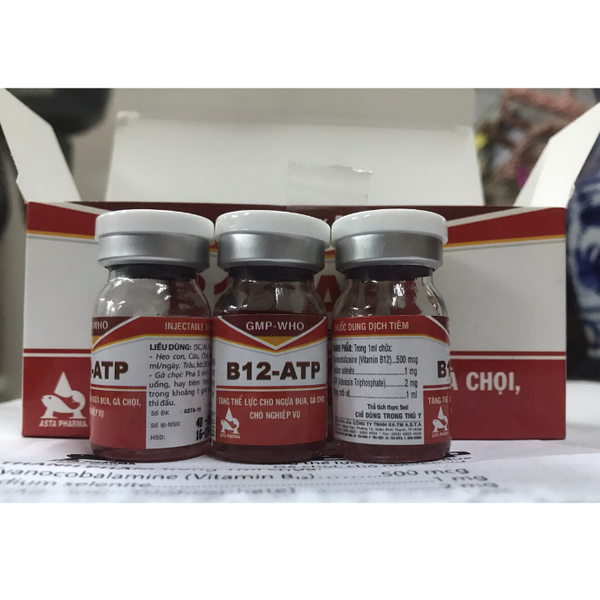 b12-atp-hop-10-lo-x-5ml-tang-the-luc-ga-da-ngua-dua