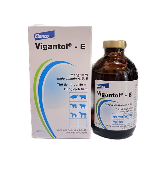vigantol-e-50-ml-phong-tri-thieu-vitamin-a-d-e