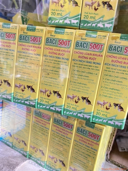 gv-baci-500t-20ml-men-tieu-hoa-chong-loan-khuan-duong-ruot
