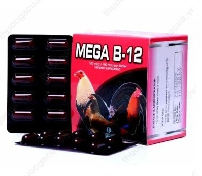 mega-b12-1-hop-x-10-vi