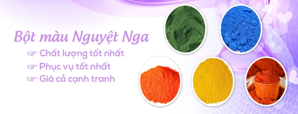 Nguyệt Nga Company