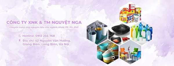 Nguyệt Nga Company