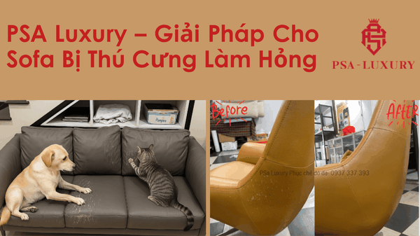 Ghế Sofa Bị Mèo, Thú Cưng Cào - Giải Pháp Phục Hồi Hiệu Quả Từ PSA Luxury