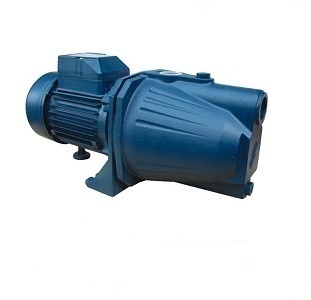 Máy bơm nước đầu lợn Sena JET 100 (750w)