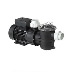 Máy bơm nước hồ bơi APP SMP 20 (1.5KW)