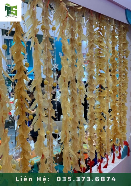 BẢO QUẢN NÔNG SẢN BẰNG PHƯƠNG PHÁP SẤY THĂNG HOA