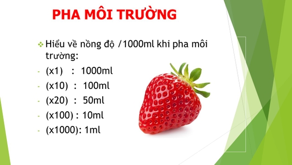 Nuôi Cấy Mô Trong Phòng Thí Nghiệm (P2) - Pha Môi Trường