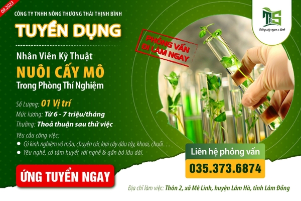 Công ty TNHH Nông Thương Thái Thịnh Bình TUYỂN DỤNG NĂM 2023