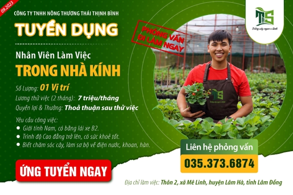 Công ty TNHH Nông Thương Thái Thịnh Bình TUYỂN DỤNG NĂM 2023