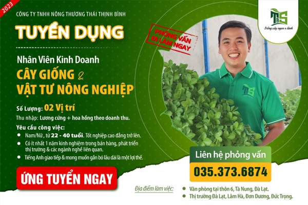 Công ty TNHH Nông Thương Thái Thịnh Bình TUYỂN DỤNG NĂM 2023