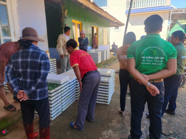 CÔNG TY LIÊN KẾT VỚI TRUNG TÂM NÔNG NGHIỆP HUYỆN CUNG ỨNG CÂY GIỐNG