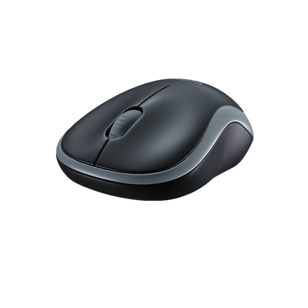 Chuột máy tính không dây Logitech B175 (Đen)