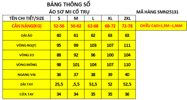 25131 - Sơ Mi Tay Ngắn Cổ Trụ Thêu Nổi 3D