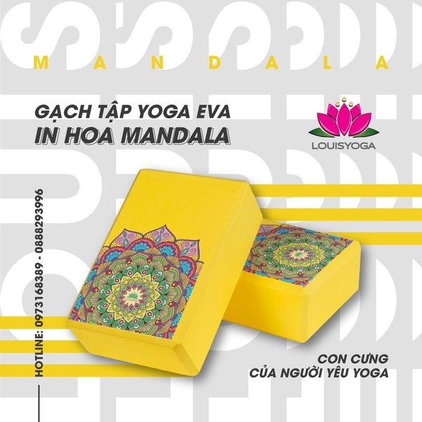 Gạch Tập Yoga Loại 220g - PYMPK025