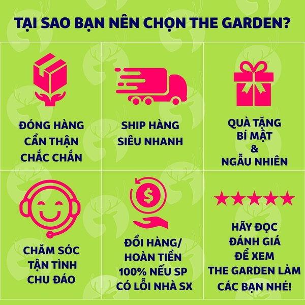 Bột vị pha trà sữa THE GARDEN vị matcha, socola, khoai môn, sầu riêng, dâu, xoài, dưa vàng, bạc hà 100g